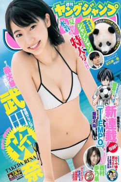 青春试爱