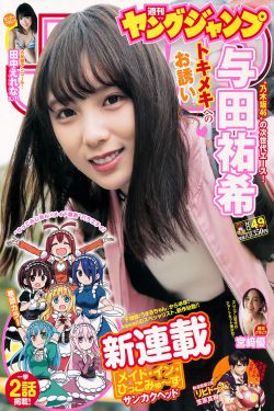 爱情进化论电视剧免费观看完整版