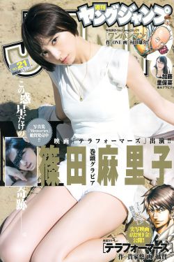 尘埃落定的意思